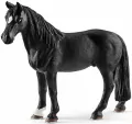 Wałach rasy Tennessee Walker 13832 - tantis.pl