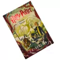Harry Potter i Komnata Tajemnic (barwione brzegi) - tantis.pl