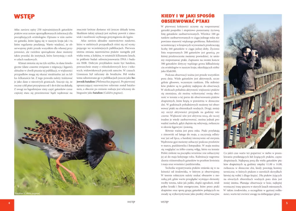 Atlas ptaków - tantis.pl