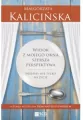 Widok z mojego okna szersza perspektywa - tantis.pl
