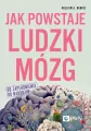 Jak powstaje ludzki mózg. Od zapłodnienia do narodzin - tantis.pl