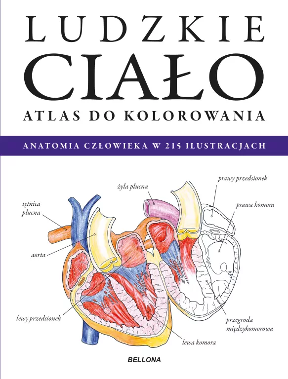 Ludzkie ciało. Atlas do kolorowania - tantis.pl