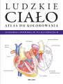 Ludzkie ciało. Atlas do kolorowania - tantis.pl
