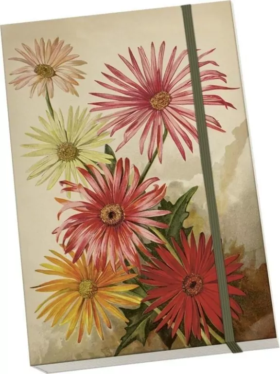 Notatnik ozdobny A5 STNOTE 139 Gerbery - tantis.pl