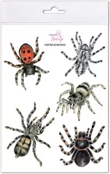 Naprasowanki Pająki