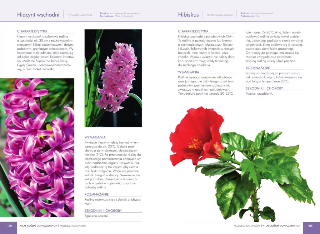 Atlas roślin doniczkowych. 200 gatunków ozdobnych - tantis.pl