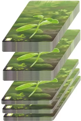 Leśne rozdanie - tantis.pl