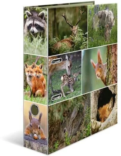 Segregator A4 - Zwierzęta leśne - tantis.pl