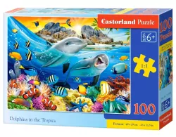 Puzzle 100. Dolphins in the Tropics