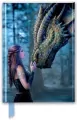 Notatnik A5 linia TW Dawno, dawno temu Anne Stokes - tantis.pl