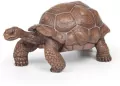 Żółw z Galapagos - tantis.pl