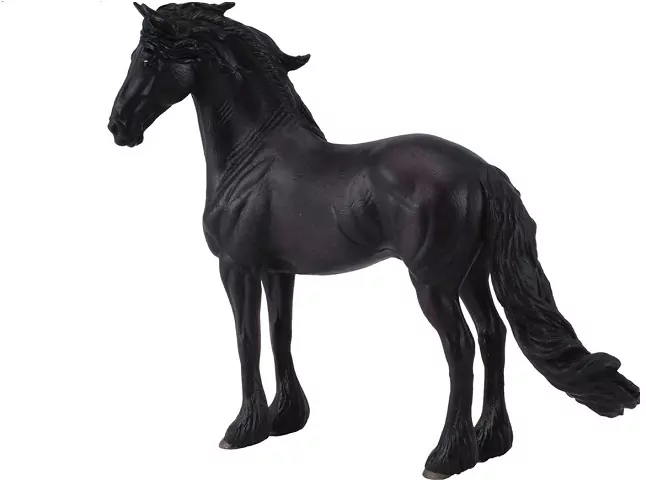 Ogier rasy Fryzyjskiej - tantis.pl