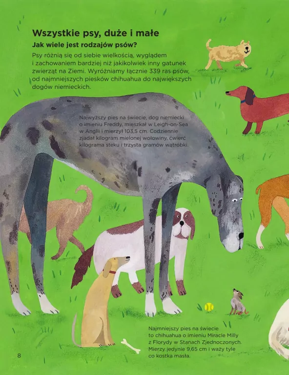 Dlaczego psy się obwąchują? - tantis.pl