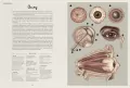 Anatomicum. Muzeum Anatomii. W Muzeum - tantis.pl