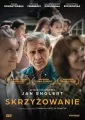 Skrzyżowanie DVD - tantis.pl