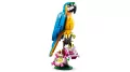 LEGO® Creator. Egzotyczna papuga. 31136 - tantis.pl