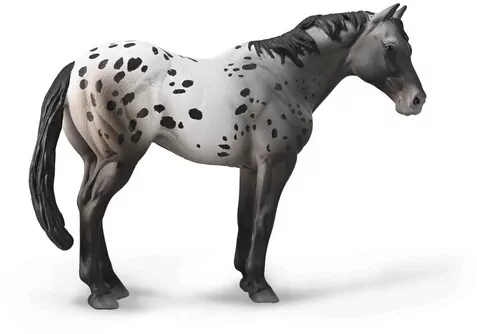 Niebieski Deresz Appaloosa - tantis.pl