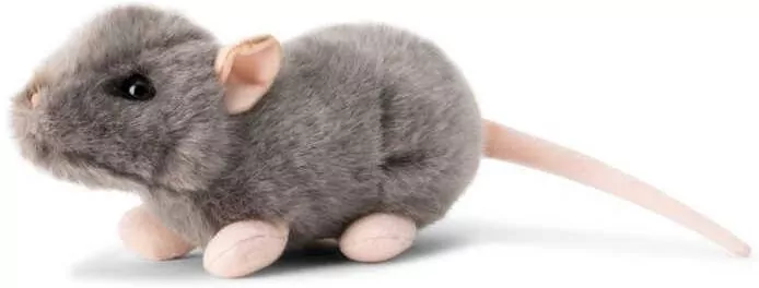 Szczurek - tantis.pl