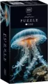 Puzzle 250 Colourful Nature 10 Jellyfish - tantis.pl