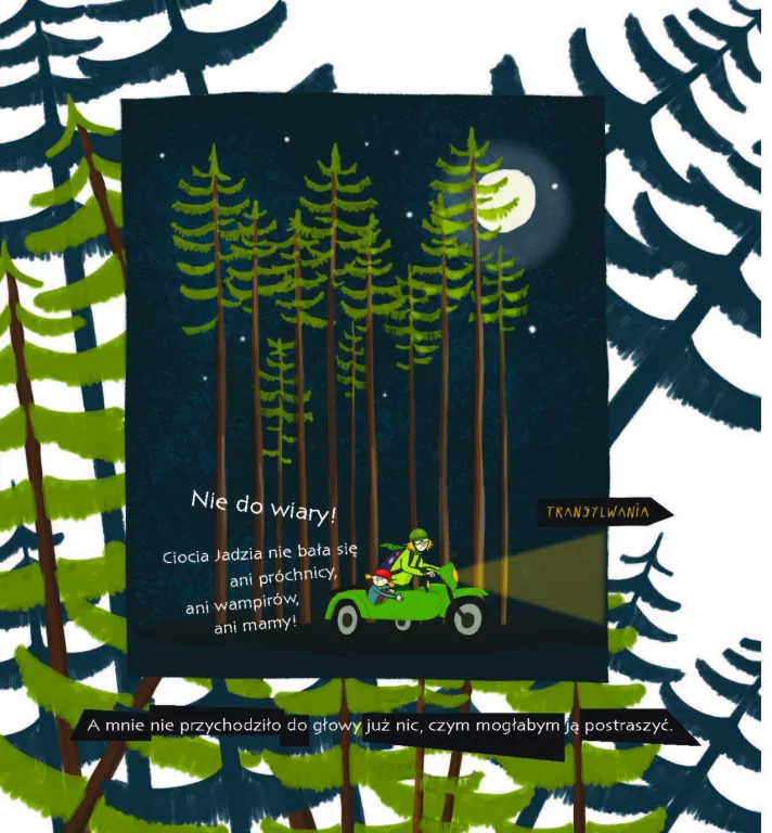 Ciocia Jadzia w Transylwanii - tantis.pl