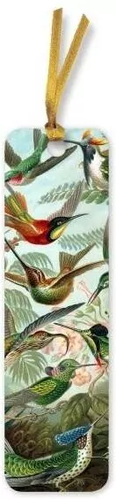 Zakładka do książki BKMK82 Kolibry Ernst Haeckel - tantis.pl