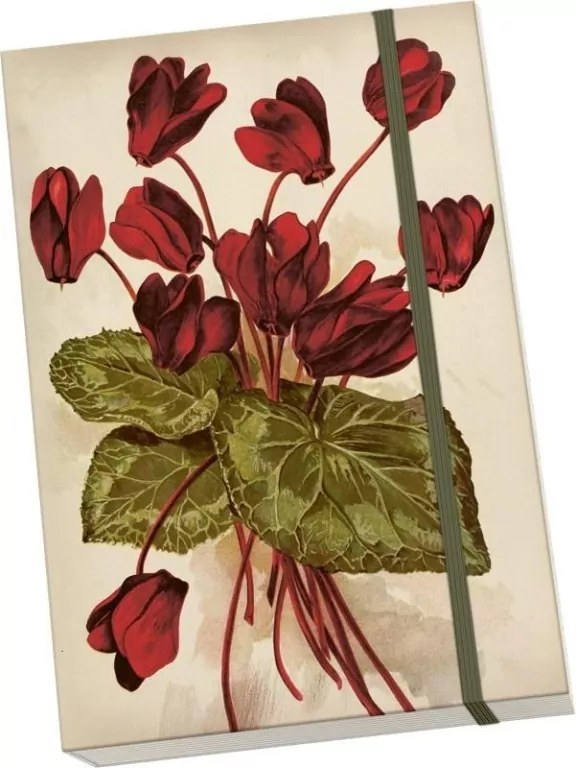 Notatnik ozdobny A5 STNOTE 145 Cyklameny - tantis.pl