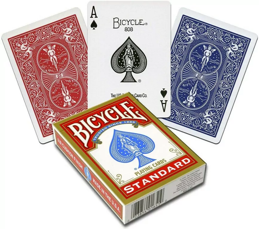 Bicycle Rider Back Standard - tantis.pl