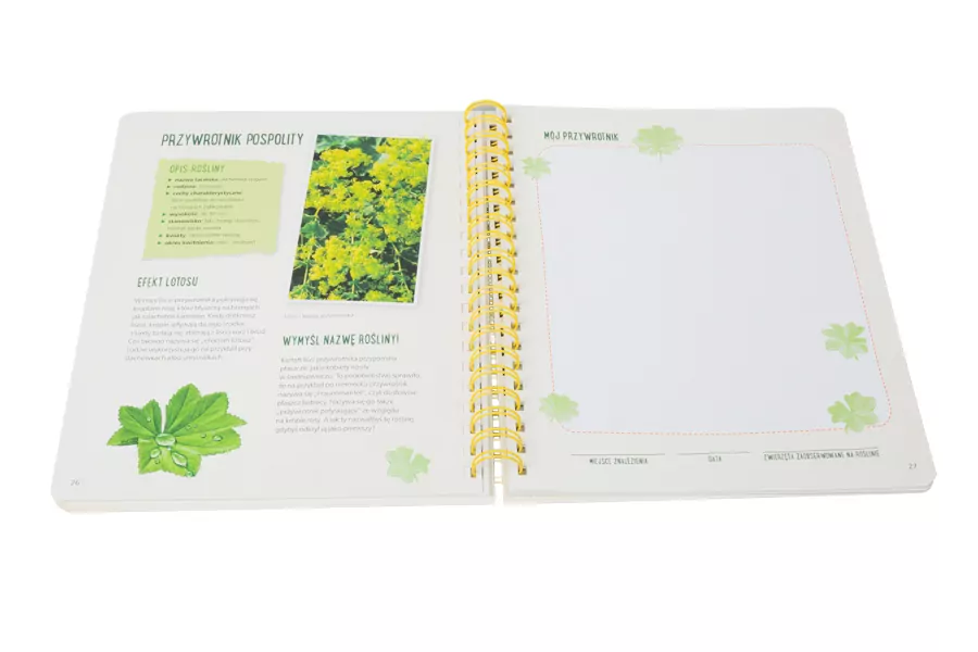 Mój pierwszy zielnik. Zbieram kwiaty, liście i trawy - tantis.pl