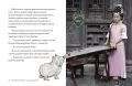 Wombat Maksymilian i rodzina w tarapatach - tantis.pl