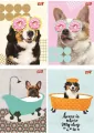 Zeszyt A5/60K linia Funny Dog (10szt) - tantis.pl