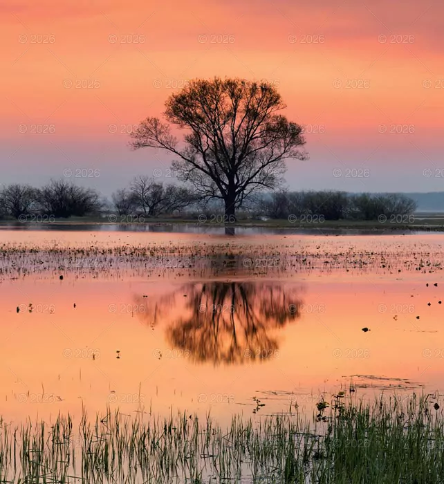 Kalendarz 2026 reklamowy Polska magiczna - tantis.pl