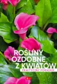 Rośliny ozdobne z kwiatów. Poradnik praktyczny - tantis.pl