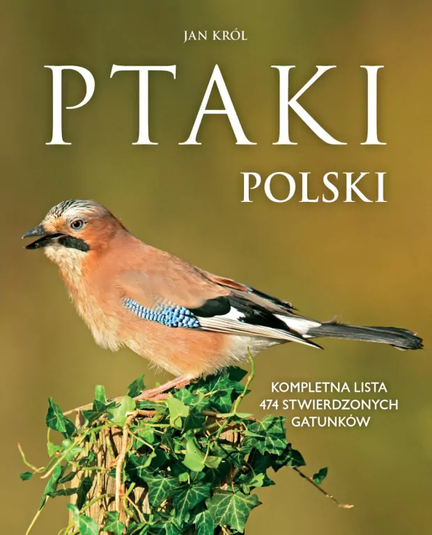 Ptaki Polski - tantis.pl
