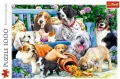 Psy w ogrodzie. 10556. Puzzle 1000. Trefl - tantis.pl
