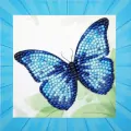 Diamond Dotz Quick - Blue Butterfly - tantis.pl