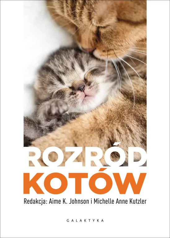Rozród kotów - tantis.pl