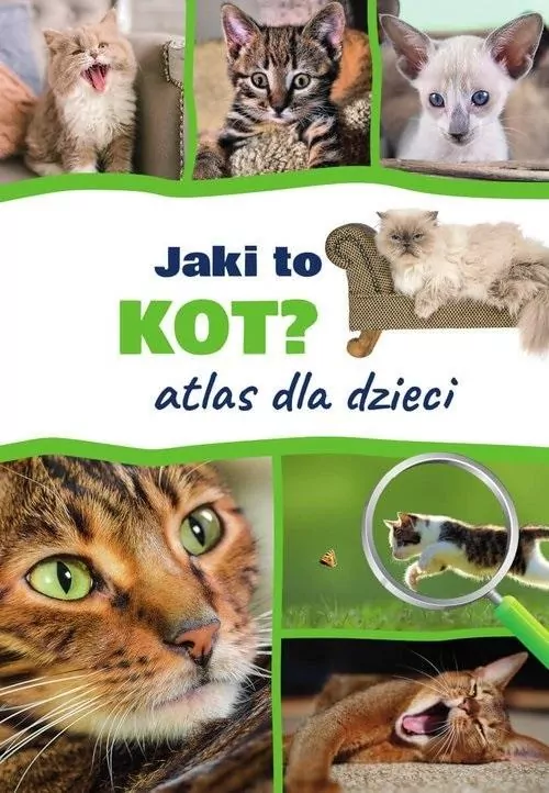 Jaki to kot? Atlas dla dzieci - tantis.pl