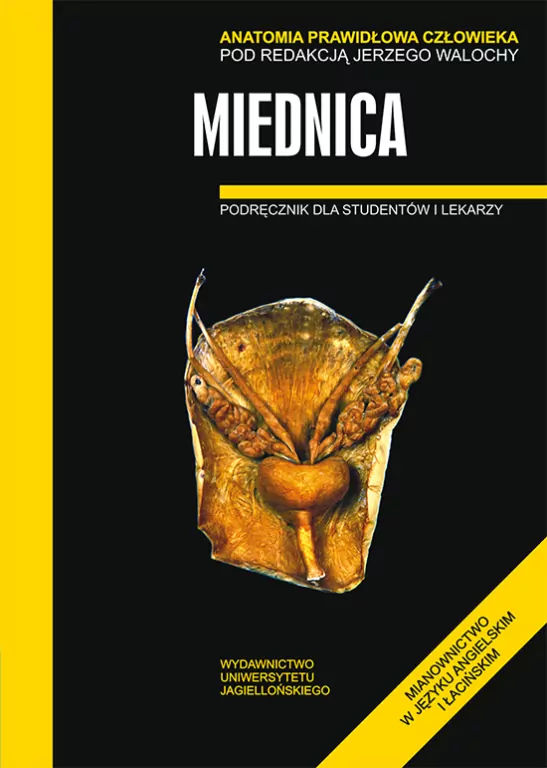 Anatomia prawidłowa człowieka. Miednica. Podręcznik dla studentów i lekarzy - tantis.pl