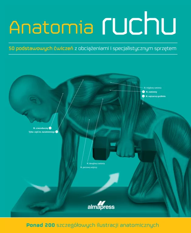 Anatomia ruchu - tantis.pl