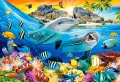 Puzzle 1000. Dolphins in the Tropics - tantis.pl