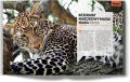 Dookoła świata z dziećmi. Gdzie i kiedy pojechać? Lonely Planet - tantis.pl