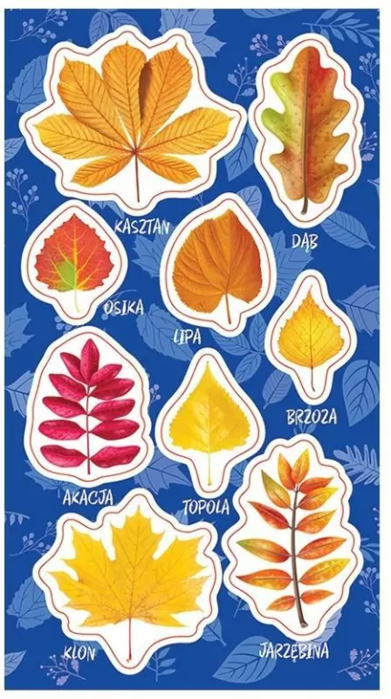 Naklejki Jesienne liście - tantis.pl