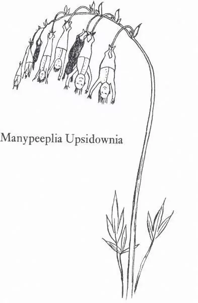 Karnet B6 z kopertą Manypeeplia Upsidownia - tantis.pl
