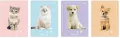 Zeszyt do słówek A6/32K Puppy Sign (10szt) - tantis.pl