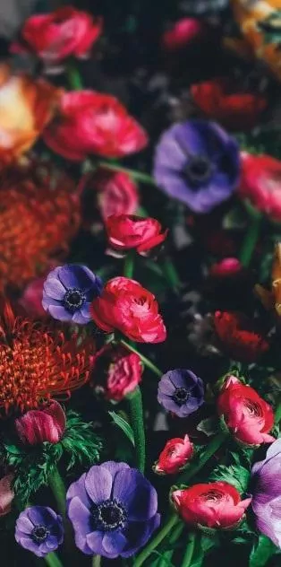 Karnet DL Uniwersalny - tantis.pl