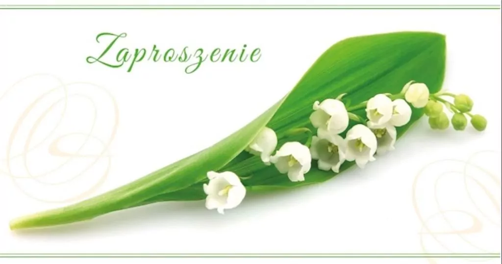 Zaproszenia Flowers nr 01 (opakowanie 10 szt) - tantis.pl