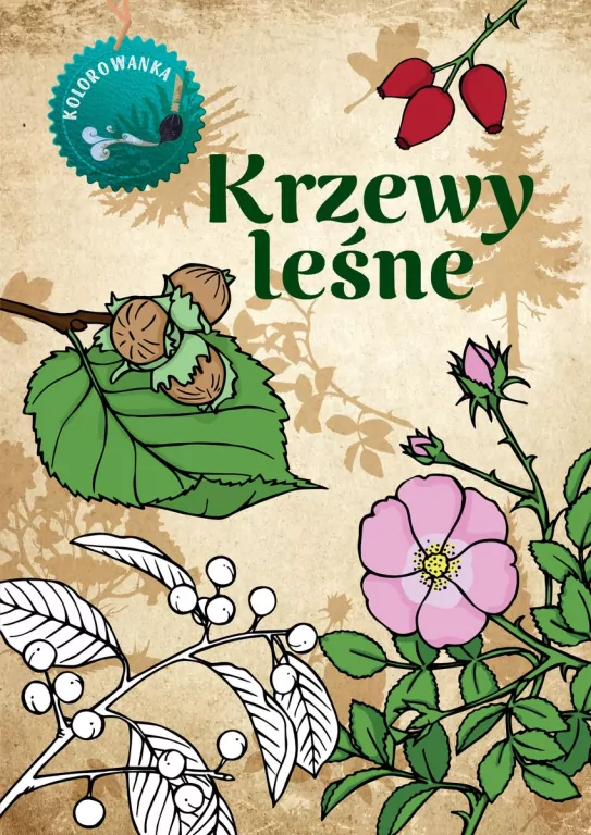 Krzewy leśne kolorowanka - tantis.pl