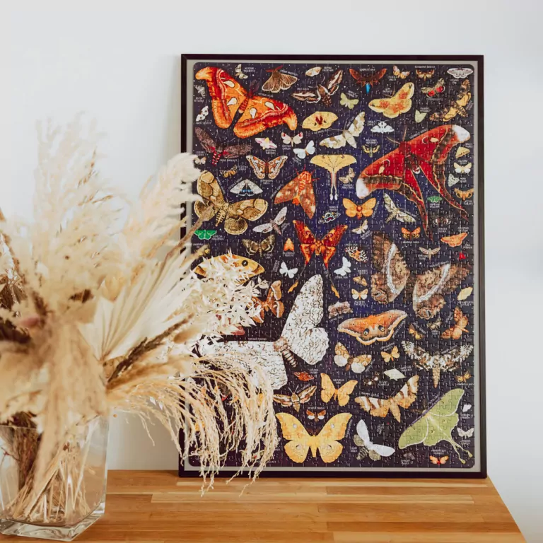 CzuCzu. Puzzlove. Ćmy. 1000 el. - tantis.pl