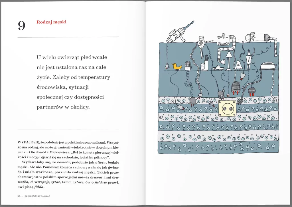 Bezecnik gramatyki polskiej - tantis.pl