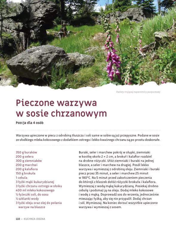 Kuchnia Jogina. Roślinne przepisy z Białego Domu - tantis.pl